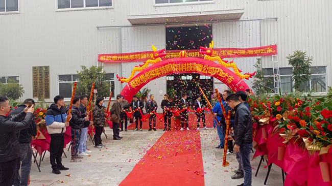 w66.利来(中国区)_来利国际旗舰厅